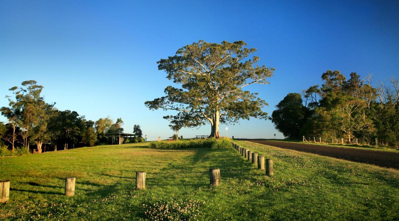 Oaks Toowoomba Hotel Εξωτερικό φωτογραφία